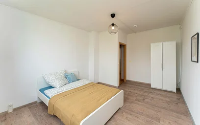 Room for rent in a shared flat in {area}