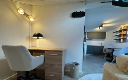 Całe miejsce Eschholzstraße 22A, 79106 Freiburg im Breisgau-West, Germany, obraz 20 25