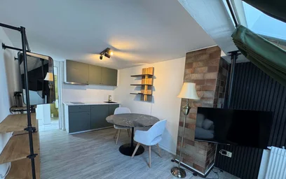 Całe miejsce Eschholzstraße 22A, 79106 Freiburg im Breisgau-West, Germany, obraz 10 25