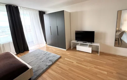 Prywatny pokój Denzlinger Str. 5, 79108 Freiburg im Breisgau-Nord, Germany, obraz 3 19