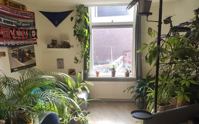Chambre privée à Kottendijk, image 7 de 9