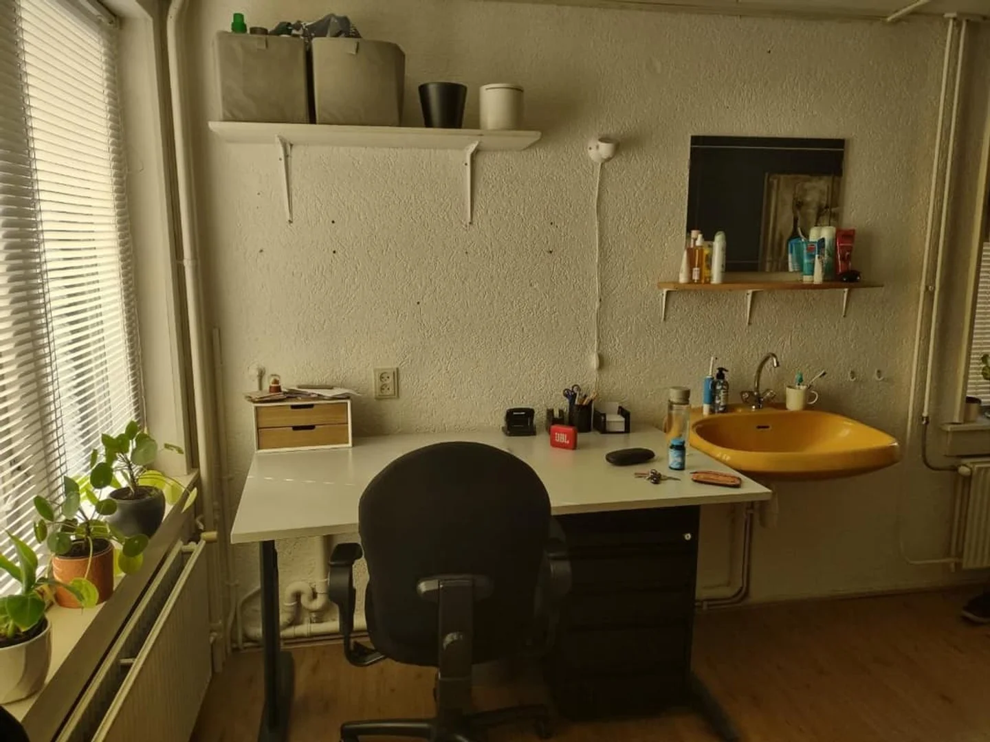 Affordable room for students with ample lighting in 