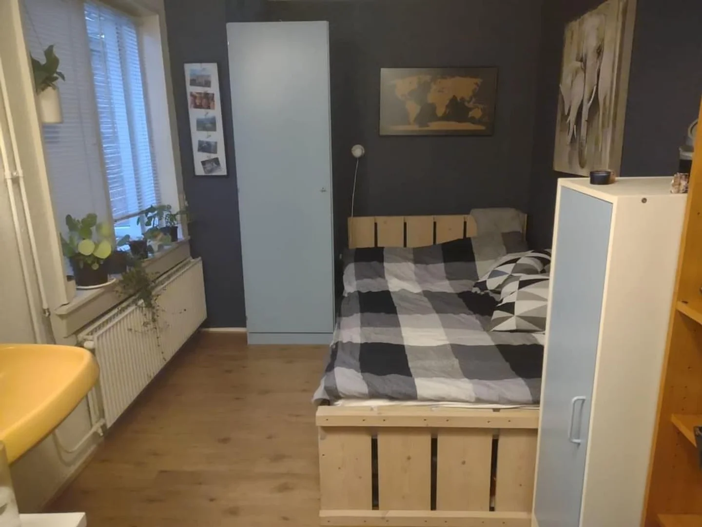 Affordable room for students with ample lighting in 