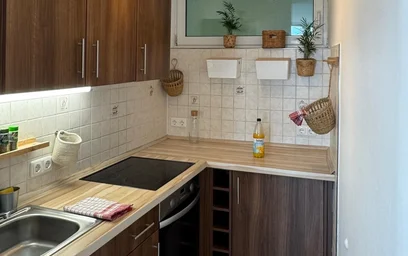 Appartamento intero in Dechsendorfer Straße, immagine 3 di 16