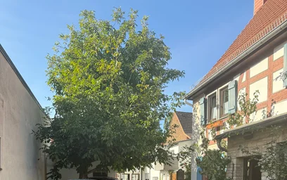 Dairenin tamamı konumu Bergen, 4 20 görüntüsü