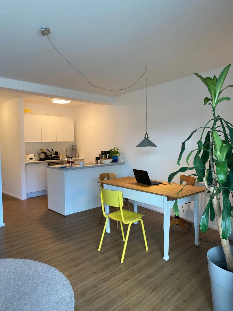 Affordable room for students with ample lighting in 