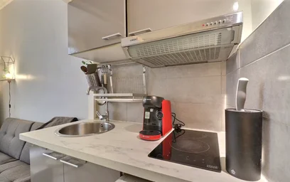 Entire apartment at Rue Singer, 16th Arrondissement, image 7 of 10