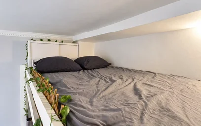 Entire apartment at Rue Singer, 16th Arrondissement, image 9 of 10