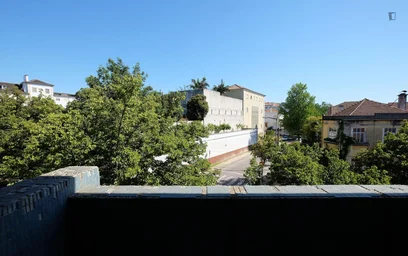 Quarto privado em Rua de Santa Teresa, imagem 14 de 20