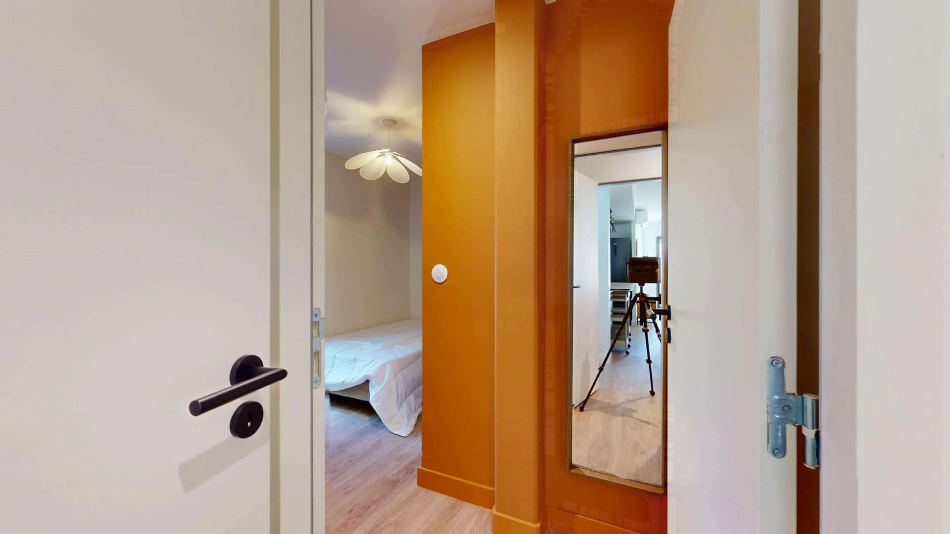 Affordable room for students with ample lighting in 