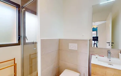 Privatzimmer in der 7 Imp. Nungesser et Coli, 31300 Toulouse, France, bild 7 von 22