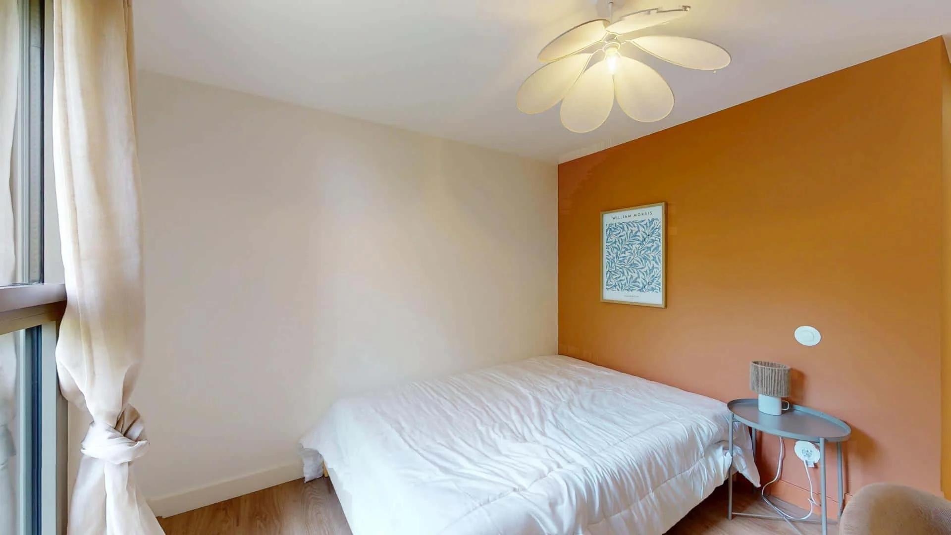 Affordable room for students with ample lighting in 