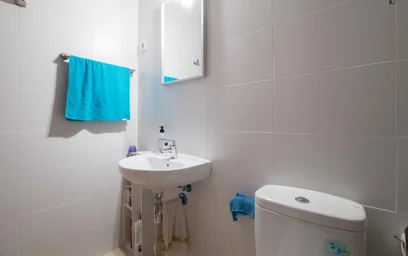 Stanza privata in Calle Nuevo Baztan, immagine 19 di 40