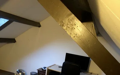 Stanza privata in Zwanenveld, immagine 5 di 9
