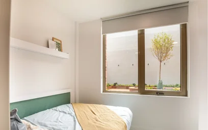 {area} de şık stüdyo daire