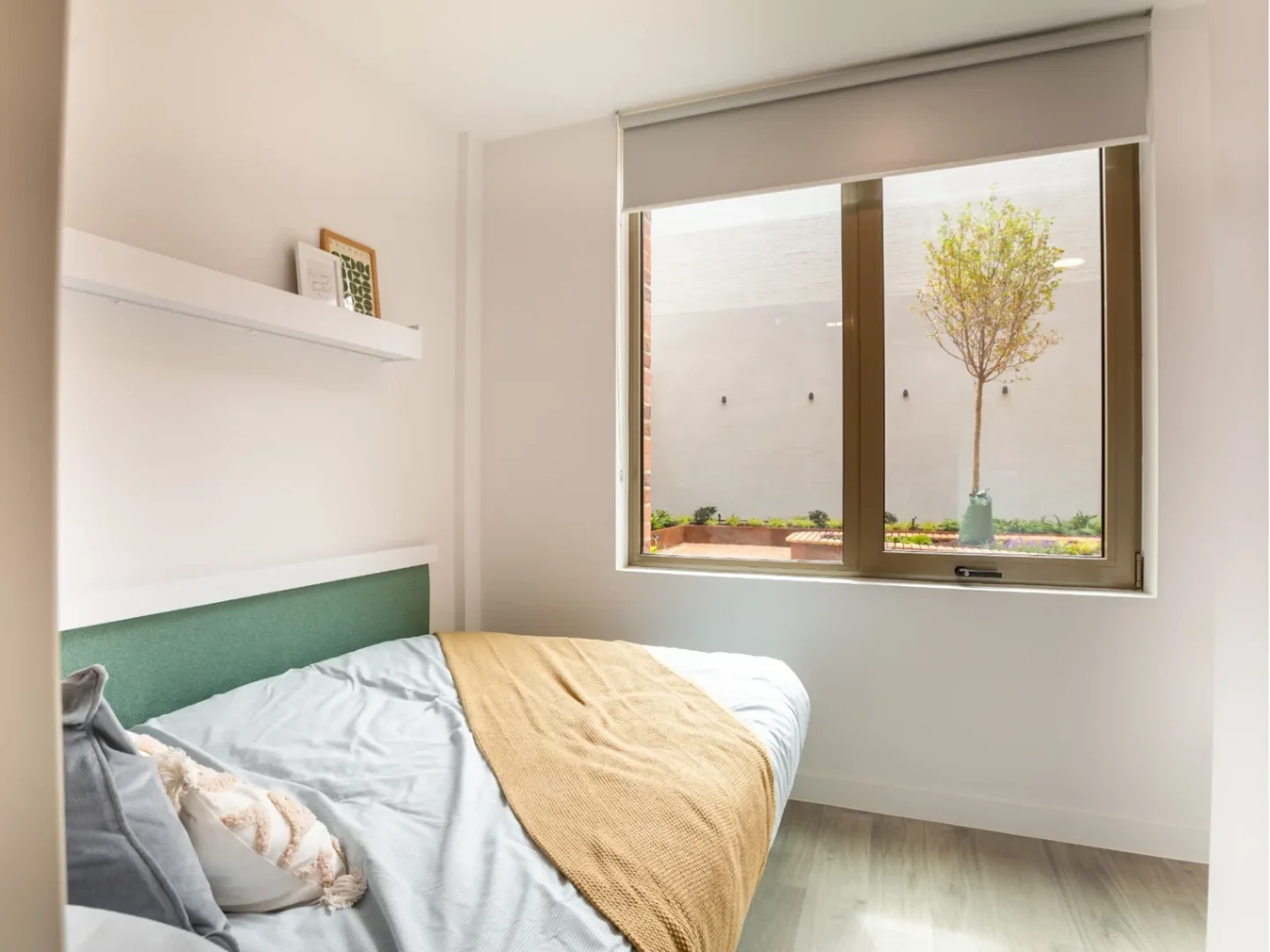 bölgesindeki öğrenciler için tam donanımlı stüdyo daire