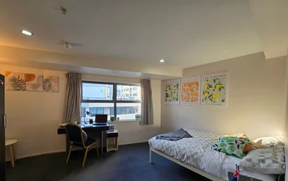 Tolles Studio in {area}
