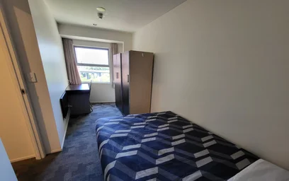 Chambre privée en résidence à 21 Whitaker Place, Grafton, Auckland 1010, New Zealand, image 5 de 24