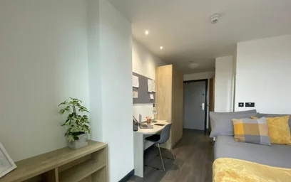 Private room in residence at 41-45 Queen St, Belfast BT1 6ES, United Kingdom, image 8 of 17