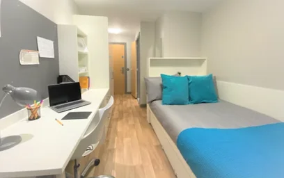 Estudio en residencia en College Square E, Belfast BT1 6DJ, United Kingdom, imagen 25 de 36