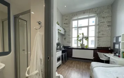 Estudio en residencia en College Square E, Belfast BT1 6DJ, United Kingdom, imagen 33 de 36