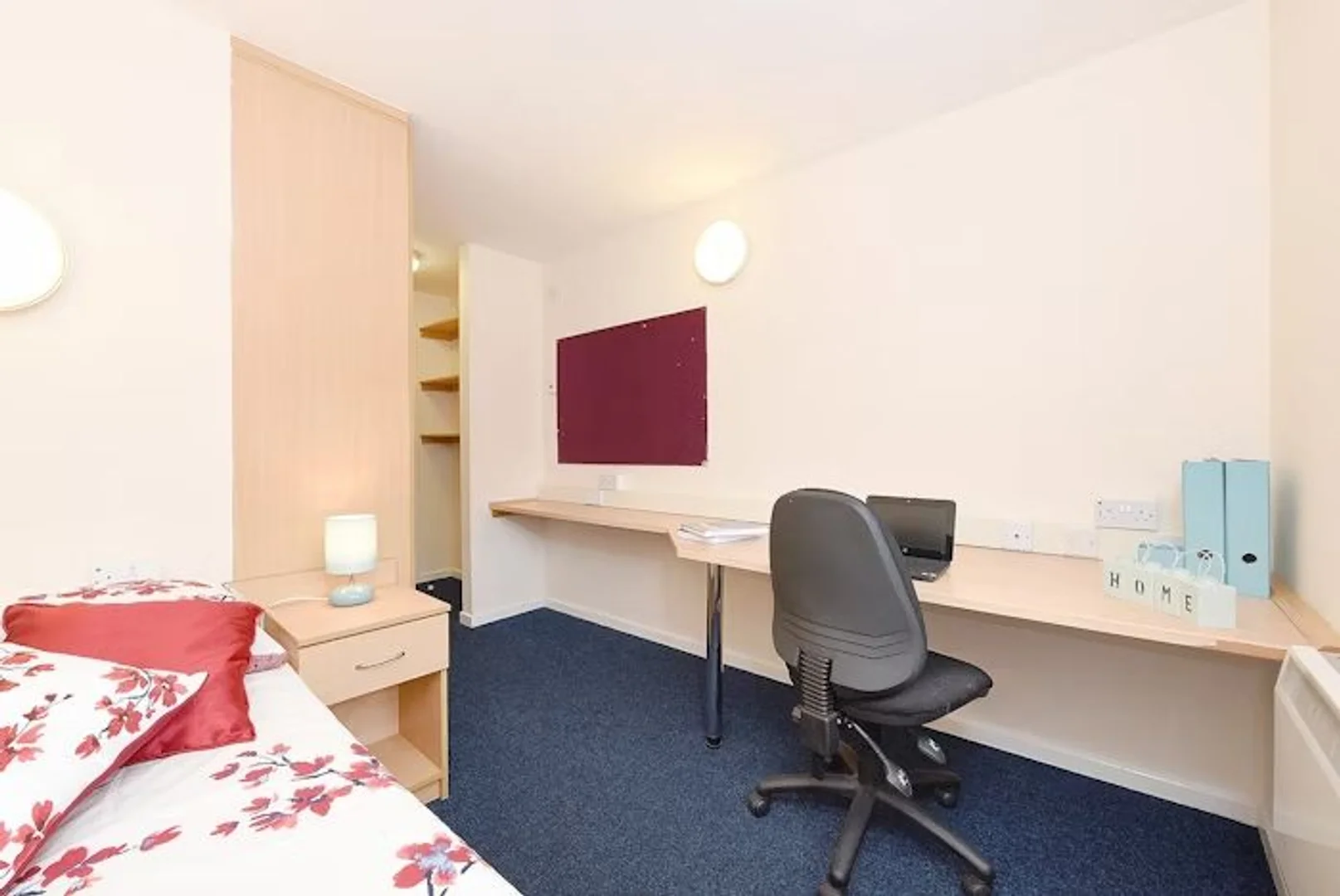 Stanza economica per studenti con ampia illuminazione in 