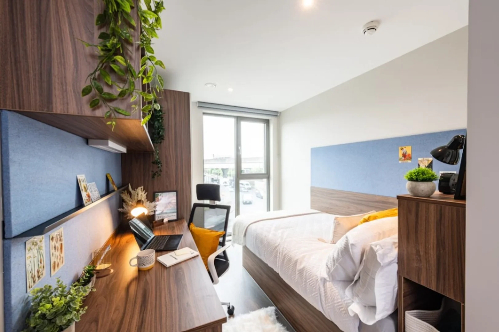 Habitación para estudiantes en con área de estudio y facilidades compartidas