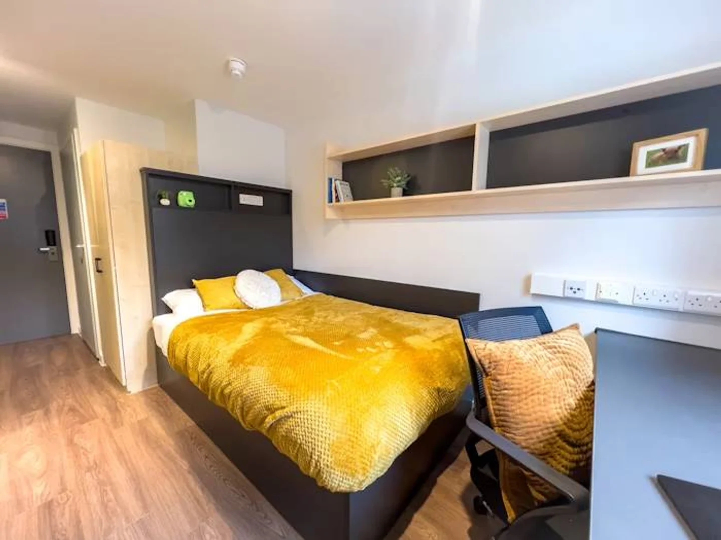 Habitación para estudiantes en con área de estudio y facilidades compartidas