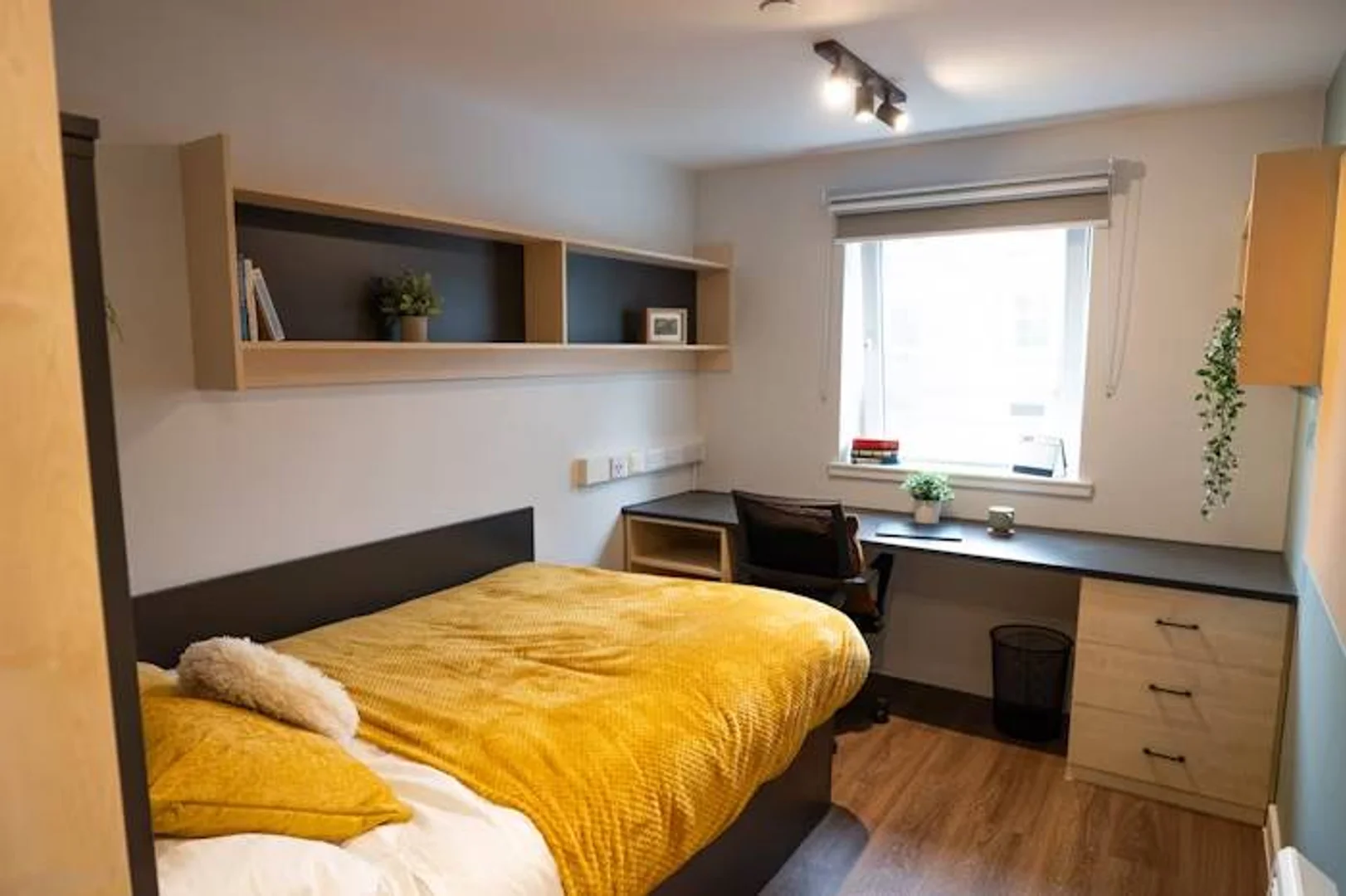 Habitación para estudiantes en  con modernas comodidades