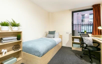 Stüdyo daire Ikamet yerinde konumu 80 Hoyle St, Sheffield S3 7LG, UK, 25 31 görüntüsü