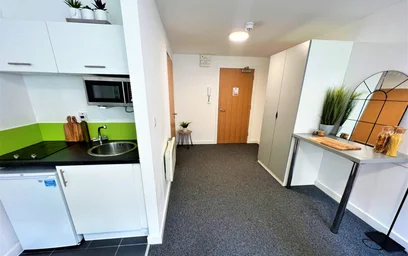 Monolocale in residence in 164 Tudor Rd, Leicester LE3 5HU, United Kingdom, immagine 9 di 49