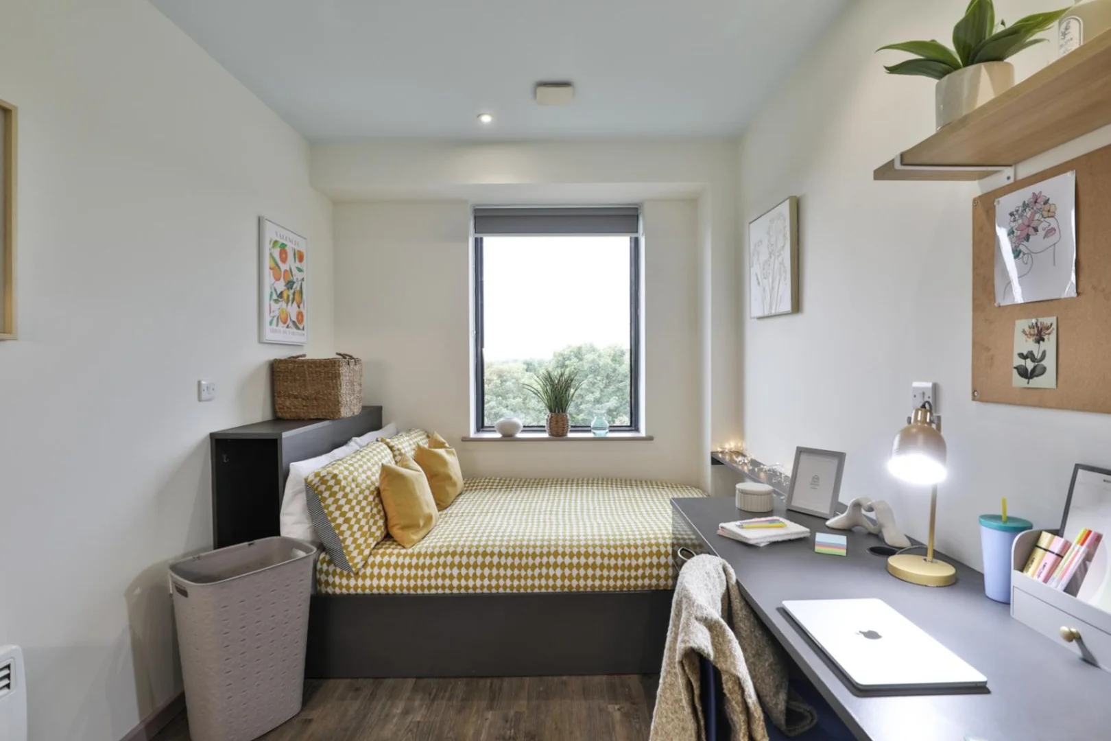 Minimalist student studio in  with efficient layout