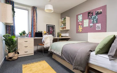 Alquiler de habitación en piso compartido en {area}