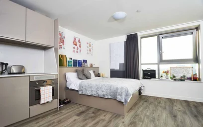 Studio in residence at 21 Beith St, Glasgow G11 6BZ, United Kingdom, image 17 of 22