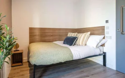Private room in residence at Howard Gardens, Cardiff CF24 0FA, United Kingdom, image 4 of 35