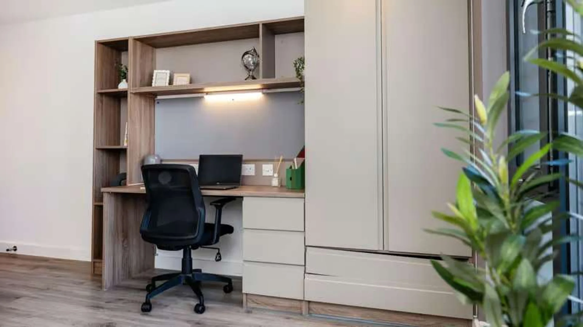 Affordable room for students with ample lighting in 