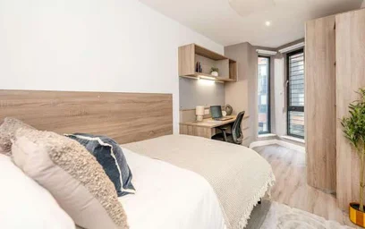 Private room in residence at Howard Gardens, Cardiff CF24 0FA, United Kingdom, image 4 of 36