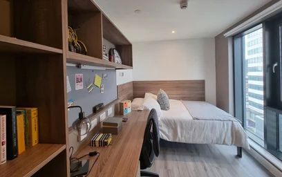 Private room in residence at Howard Gardens, Cardiff CF24 0FA, United Kingdom, image 7 of 36