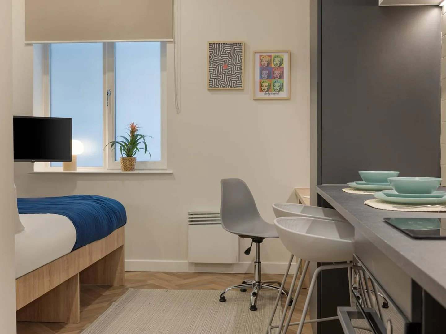 Student-friendly studio with excellent transport links in 