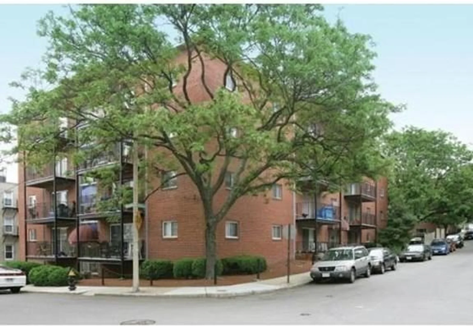 36, Bellvista Rd., Unit 46, Brighton, Boston, MA, 02135
