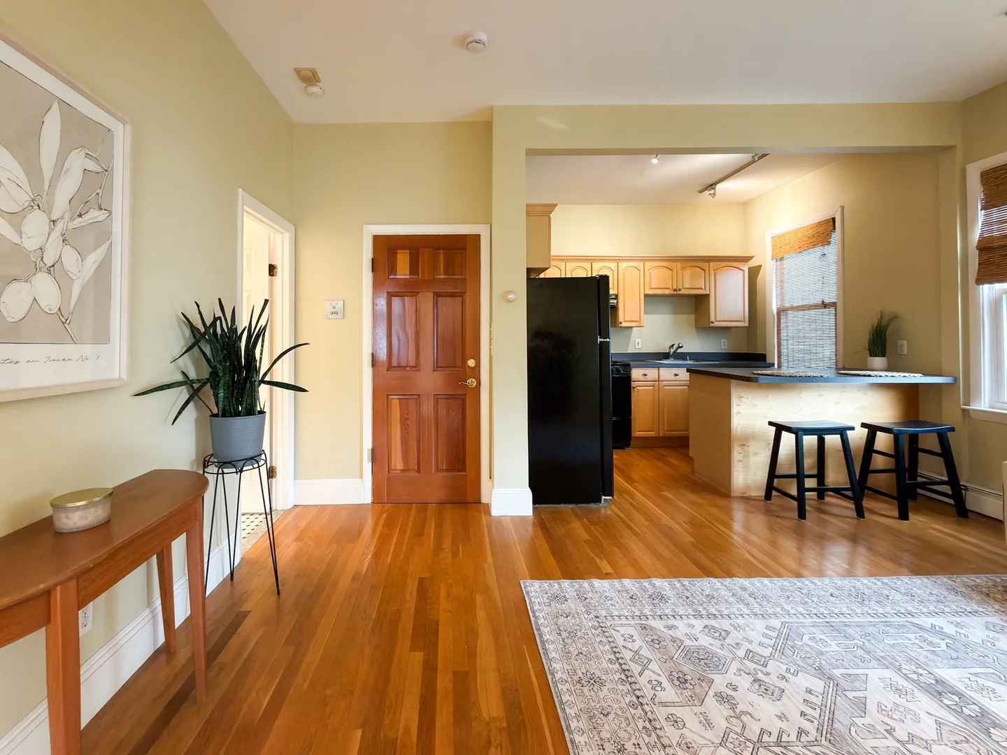 392, Norfolk St., Unit 2r, Inman Square, Cambridge, MA, 02139