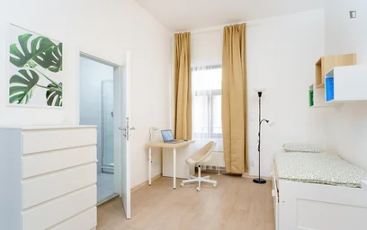 Kawalerka Kolčavka, obraz 3 13