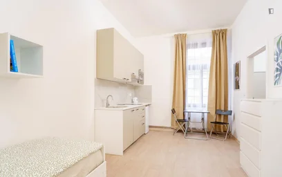 Kawalerka Kolčavka, obraz 5 13