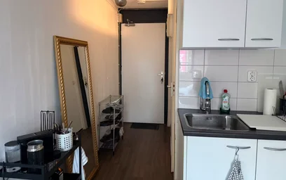 Privatzimmer in der Theresiastraat, Haagse Hout, bild 5 von 5