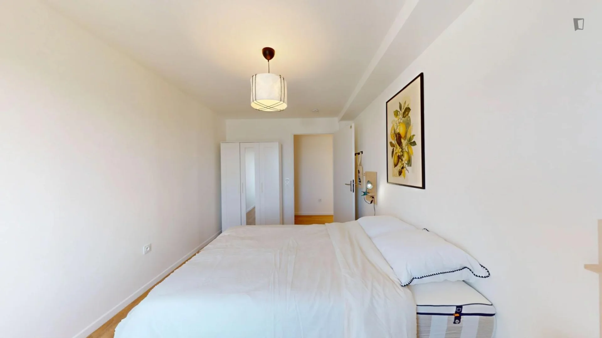 Affordable room for students with ample lighting in 