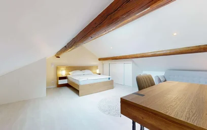 Gesamte Unterkunft in der 23 Rue Croix-Saint-Marc, 51100 Reims, France, bild 19 von 30