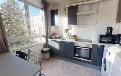 Privatzimmer in der 115 Av. Maréchal Lyautey, 21000 Dijon, France, bild 5 von 15