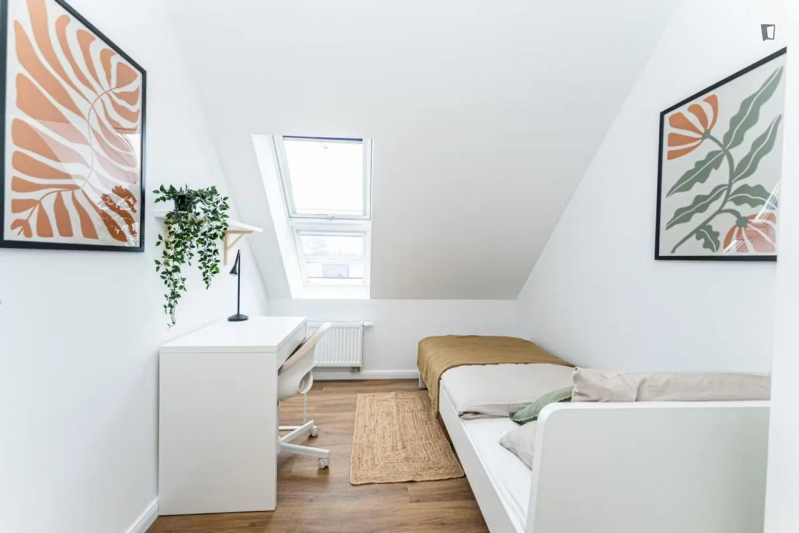Cozy room for students available in 