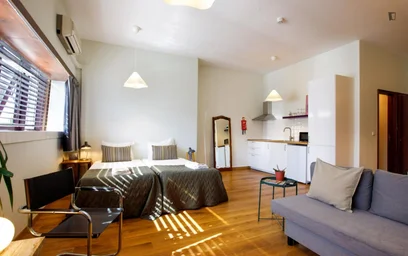 Modern and bright flat in {area}