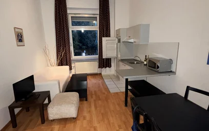 Entire fully furnished flat in {area}